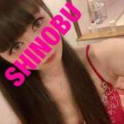 ヒメ日記 2025/02/21 07:17 投稿 シノブ ルパン