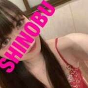 ヒメ日記 2025/02/22 08:03 投稿 シノブ ルパン