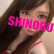 ヒメ日記 2025/02/23 08:17 投稿 シノブ ルパン