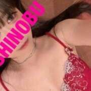 ヒメ日記 2025/02/26 07:55 投稿 シノブ ルパン