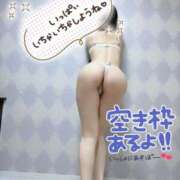 ヒメ日記 2025/03/12 09:36 投稿 シノブ ルパン