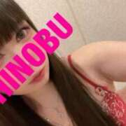 ヒメ日記 2025/03/15 09:54 投稿 シノブ ルパン