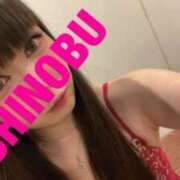 ヒメ日記 2025/03/19 09:44 投稿 シノブ ルパン