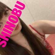 ヒメ日記 2025/03/21 09:06 投稿 シノブ ルパン