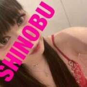 ヒメ日記 2025/03/23 09:16 投稿 シノブ ルパン