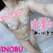 ヒメ日記 2025/03/24 10:12 投稿 シノブ ルパン