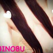 ヒメ日記 2025/03/24 12:49 投稿 シノブ ルパン