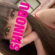 ヒメ日記 2025/03/25 08:39 投稿 シノブ ルパン