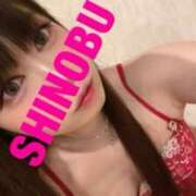 ヒメ日記 2025/03/30 09:02 投稿 シノブ ルパン