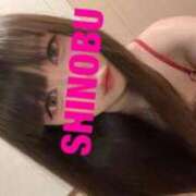 ヒメ日記 2025/04/01 09:02 投稿 シノブ ルパン