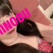 ヒメ日記 2025/04/03 08:27 投稿 シノブ ルパン