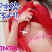 ヒメ日記 2025/04/03 13:38 投稿 シノブ ルパン