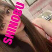 ヒメ日記 2025/04/04 07:21 投稿 シノブ ルパン