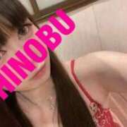 ヒメ日記 2025/04/05 07:51 投稿 シノブ ルパン