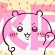 ヒメ日記 2025/04/12 13:02 投稿 シノブ ルパン