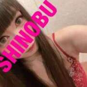 ヒメ日記 2025/04/17 07:37 投稿 シノブ ルパン