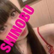 ヒメ日記 2025/04/30 07:33 投稿 シノブ ルパン