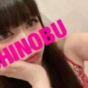 ヒメ日記 2025/05/05 07:59 投稿 シノブ ルパン