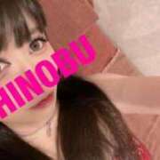 ヒメ日記 2025/05/06 08:19 投稿 シノブ ルパン