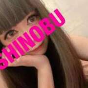 ヒメ日記 2025/05/17 08:40 投稿 シノブ ルパン