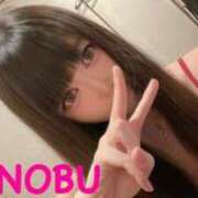 ヒメ日記 2025/05/18 08:27 投稿 シノブ ルパン