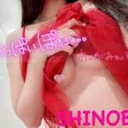 ヒメ日記 2025/05/20 14:54 投稿 シノブ ルパン