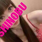 ヒメ日記 2025/05/26 08:02 投稿 シノブ ルパン