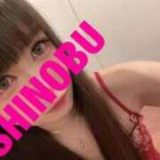 ヒメ日記 2025/05/28 08:20 投稿 シノブ ルパン