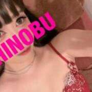 ヒメ日記 2025/05/29 08:43 投稿 シノブ ルパン