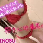 ヒメ日記 2025/05/29 13:10 投稿 シノブ ルパン