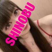 ヒメ日記 2025/05/31 09:42 投稿 シノブ ルパン