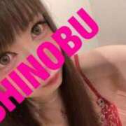 ヒメ日記 2025/06/03 08:33 投稿 シノブ ルパン