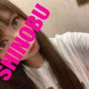 ヒメ日記 2025/06/07 07:48 投稿 シノブ ルパン