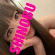 ヒメ日記 2025/06/14 08:57 投稿 シノブ ルパン