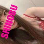 ヒメ日記 2025/06/18 08:14 投稿 シノブ ルパン