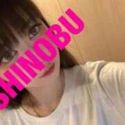 ヒメ日記 2025/06/22 08:27 投稿 シノブ ルパン