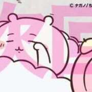 ヒメ日記 2025/06/25 14:31 投稿 シノブ ルパン