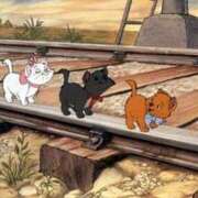 ヒメ日記 2025/06/28 13:11 投稿 シノブ ルパン