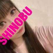 ヒメ日記 2025/07/12 08:57 投稿 シノブ ルパン