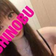 ヒメ日記 2025/07/24 08:56 投稿 シノブ ルパン