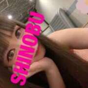 ヒメ日記 2025/08/03 08:38 投稿 シノブ ルパン