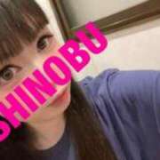 ヒメ日記 2025/08/10 09:23 投稿 シノブ ルパン