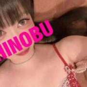 ヒメ日記 2025/08/21 09:41 投稿 シノブ ルパン