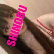 ヒメ日記 2025/08/28 09:28 投稿 シノブ ルパン