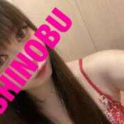 ヒメ日記 2025/08/31 09:44 投稿 シノブ ルパン