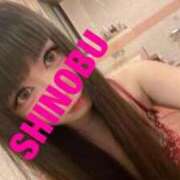 ヒメ日記 2025/09/13 09:54 投稿 シノブ ルパン