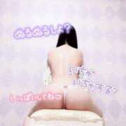 ヒメ日記 2025/09/21 12:52 投稿 シノブ ルパン