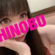 ヒメ日記 2025/09/26 10:53 投稿 シノブ ルパン