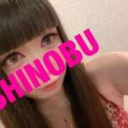 ヒメ日記 2025/10/24 09:46 投稿 シノブ ルパン