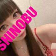 ヒメ日記 2025/10/27 09:19 投稿 シノブ ルパン